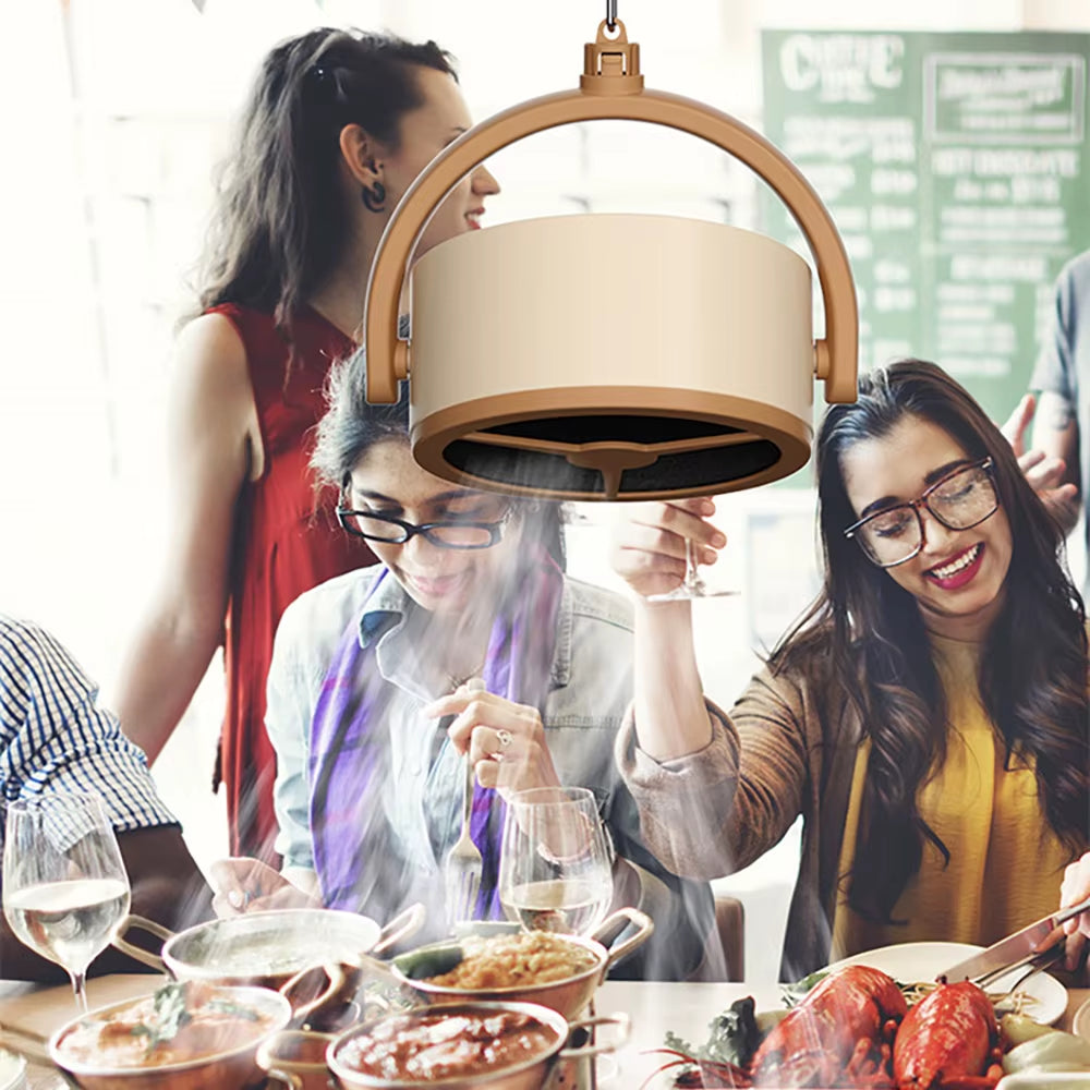 Clear the Air Instantly Cook Freely Without the Smoke Portable Power for a Cleaner Kitchen